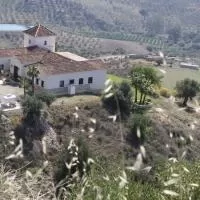 Hotel Mansion with 7 bedrooms and 6 bathrooms in rural holiday park en tolox